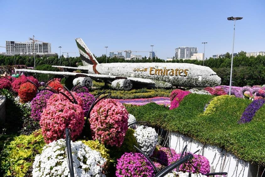 迪拜奇迹花园的阿联酋A380机模,1.5亿朵自然花卉