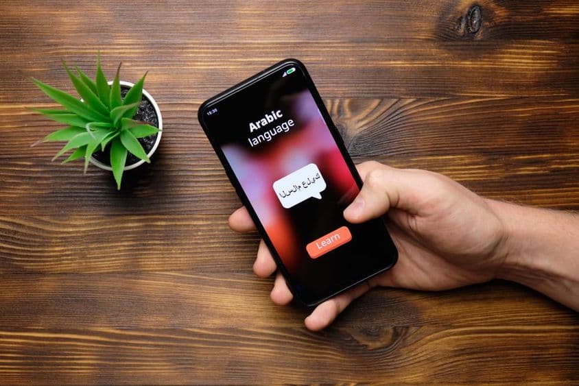 手机上运行的字典。