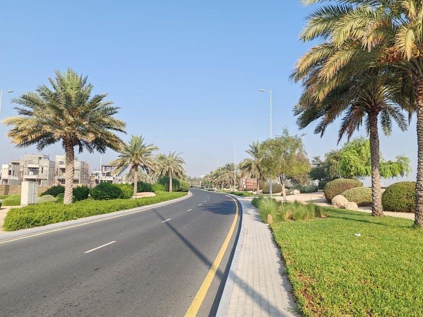 迪拜的道路,路旁有棕榈树和绿色草地。