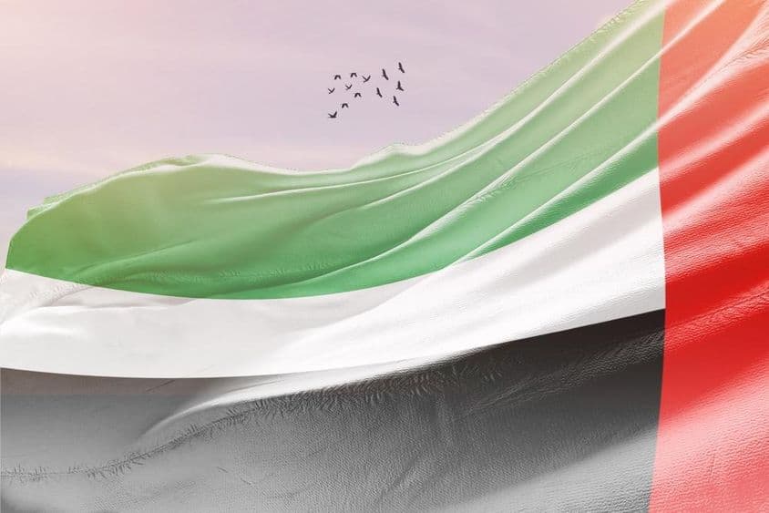 阿联酋国旗在风中飘扬。