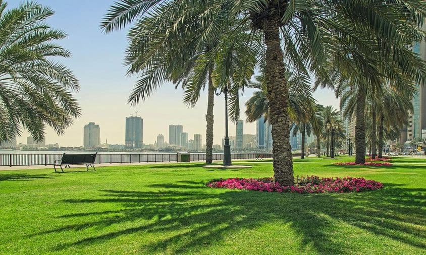 沙迦海滨附近的绿草坪。