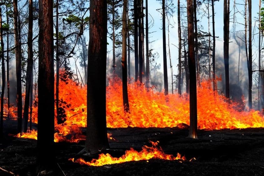 美国洛杉矶、马里布正在燃烧中的野火。