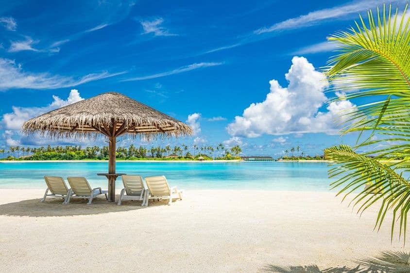 马尔代夫沙滩上的遮阳伞和躺椅。