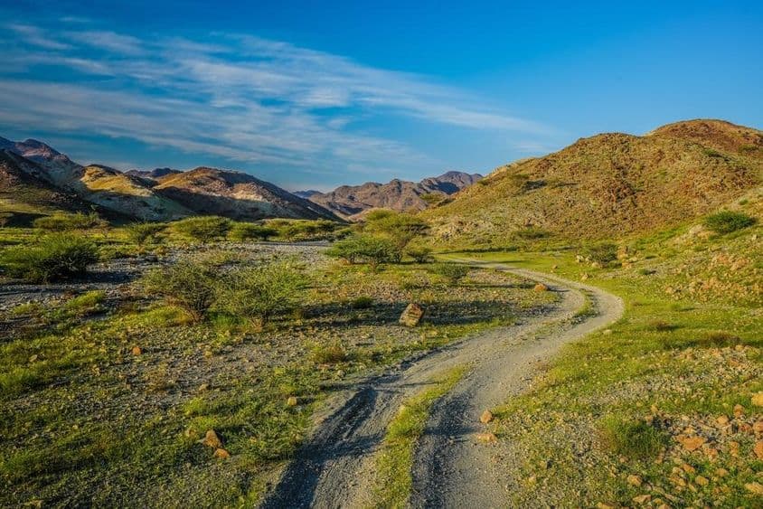 阿联酋的绿色山脉