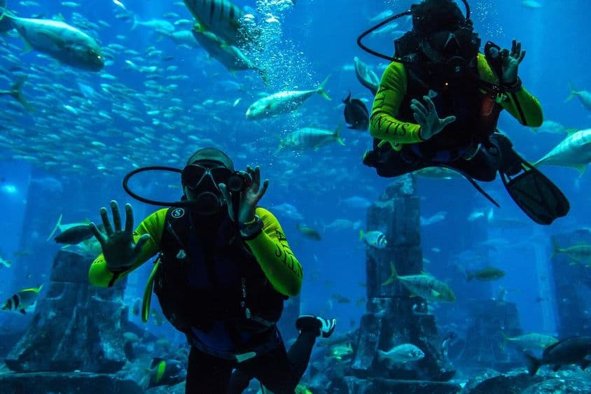 阿联酋迪拜亚特兰蒂斯酒店的大型水族馆。