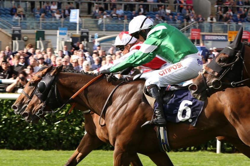 传奇赛马鼻尖夺冠。