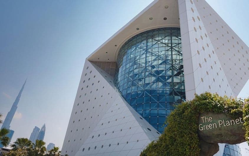 迪拜绿色星球上的独特生态系统。