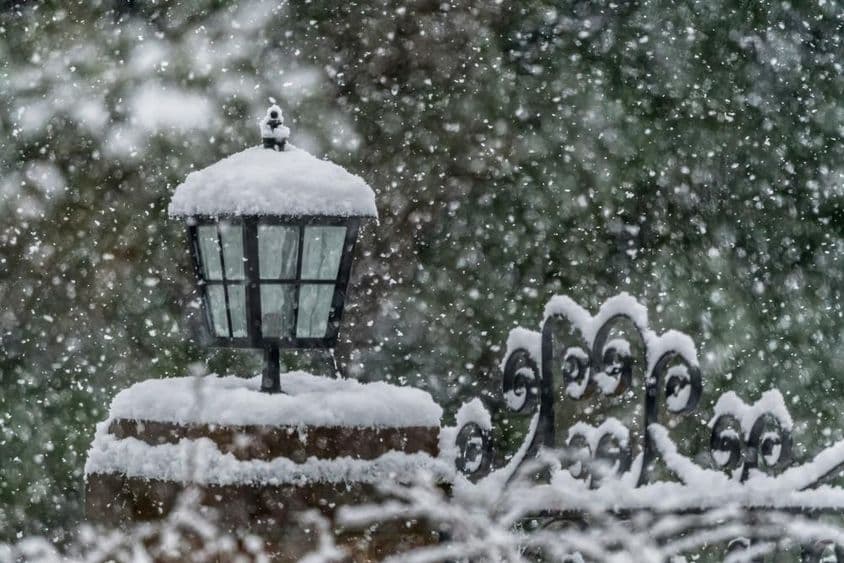 冬季花园中的降雪。