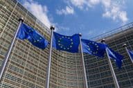 欧盟旗帜在风中飘扬。